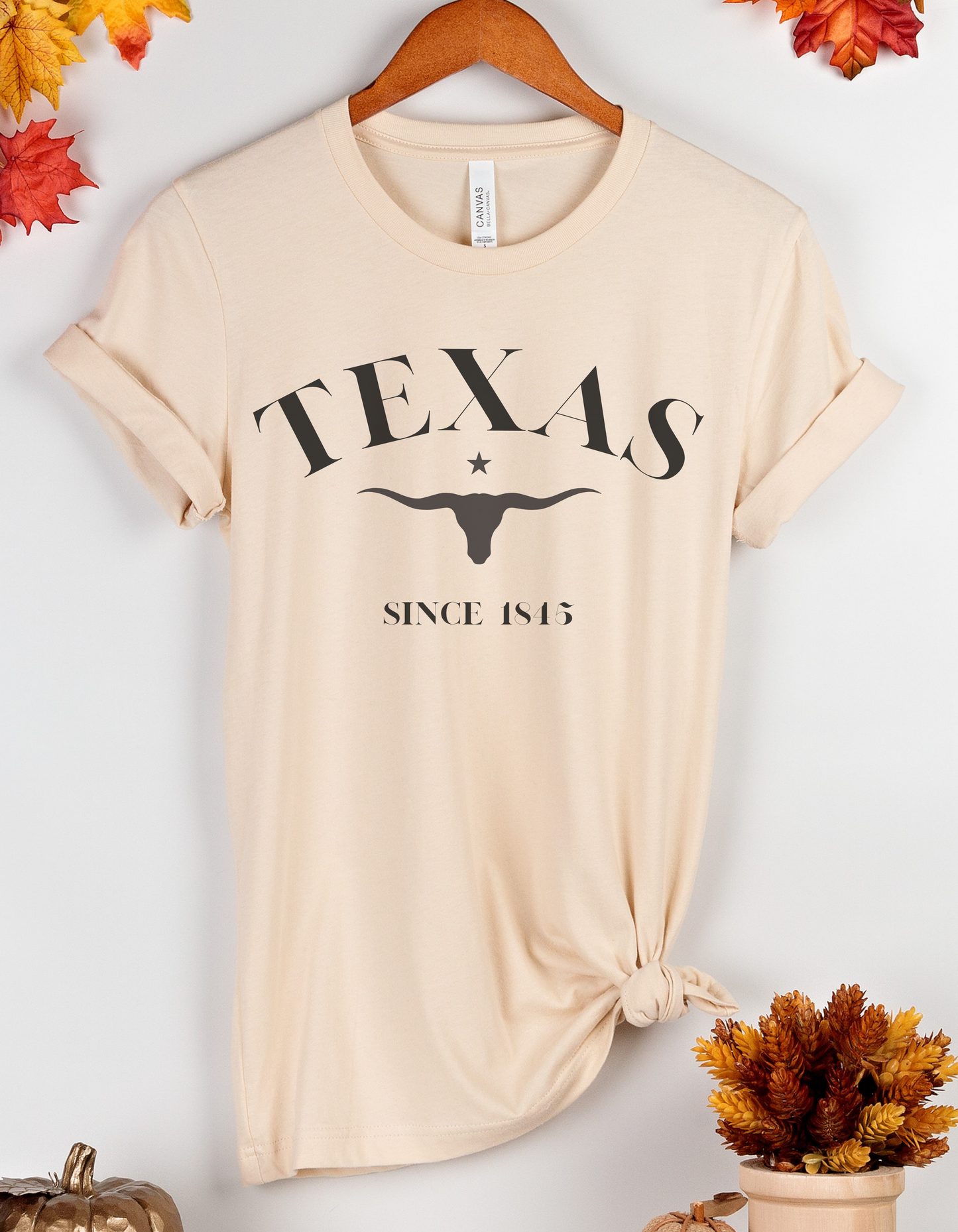 Texas Tee with Long Horn Graphic in Black Short Sleeve Tee