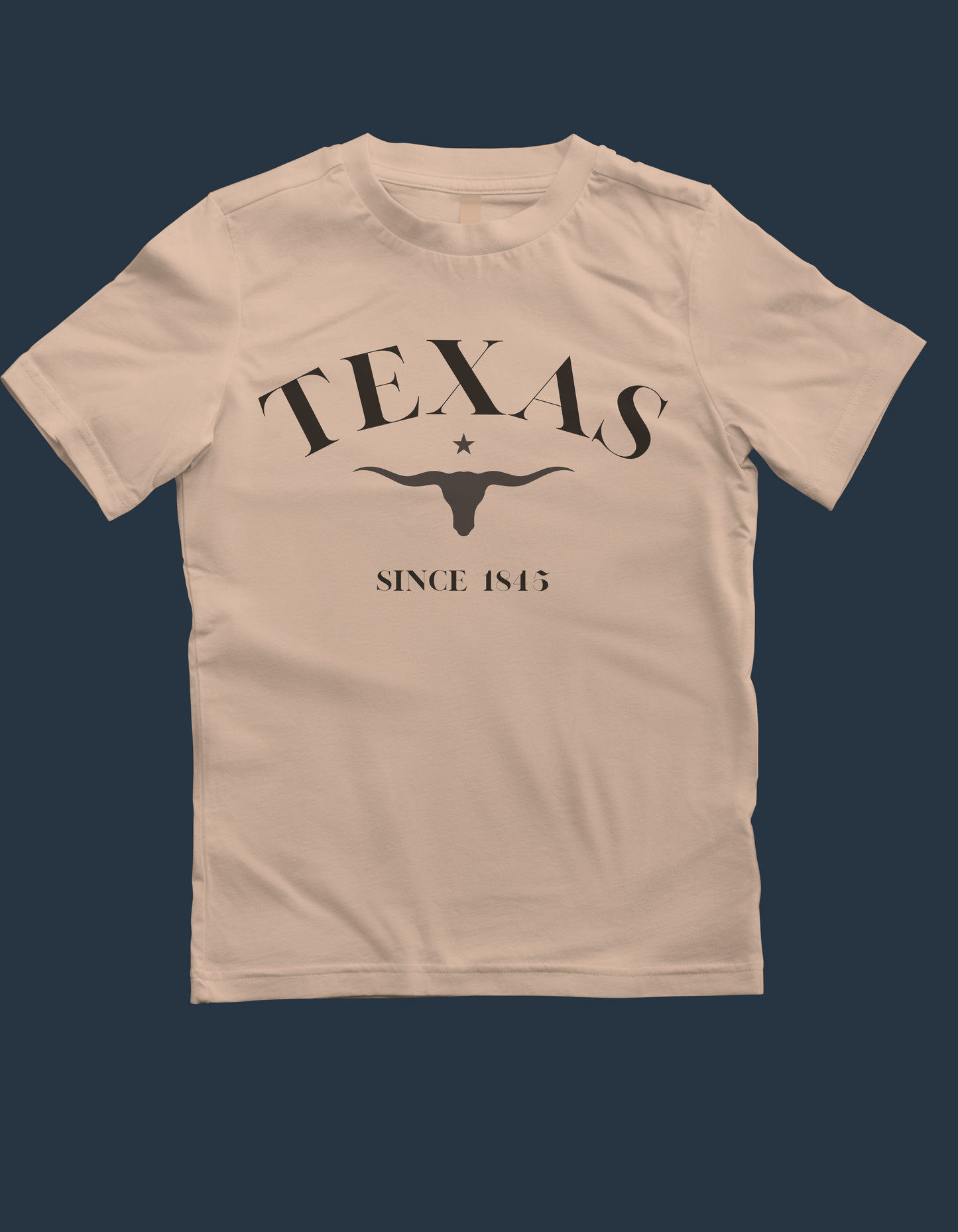 Texas Tee with Long Horn Graphic in Black Short Sleeve Tee