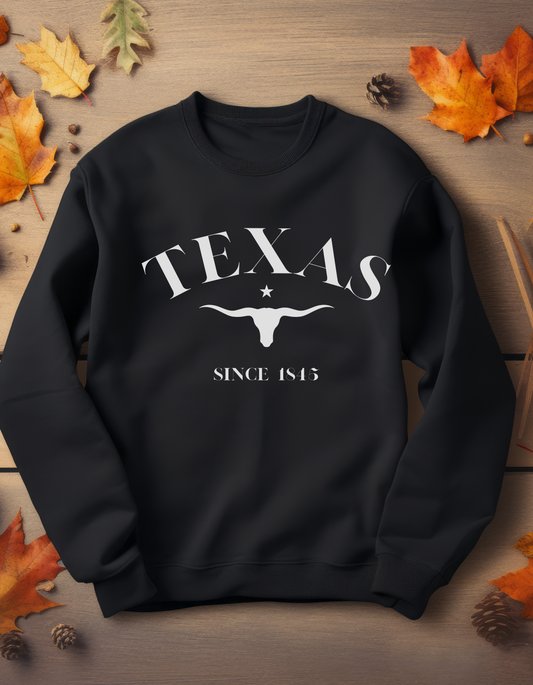 Texas Longhorn Sweatshirt